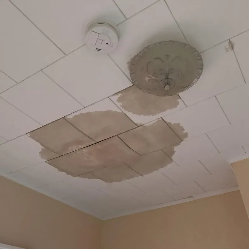 Ceiling Water Damage Repair in Maryland Heights, MO