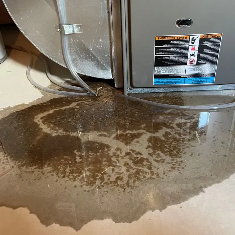 Pipe Burst and Leak Restoration in Maryland Heights, MO