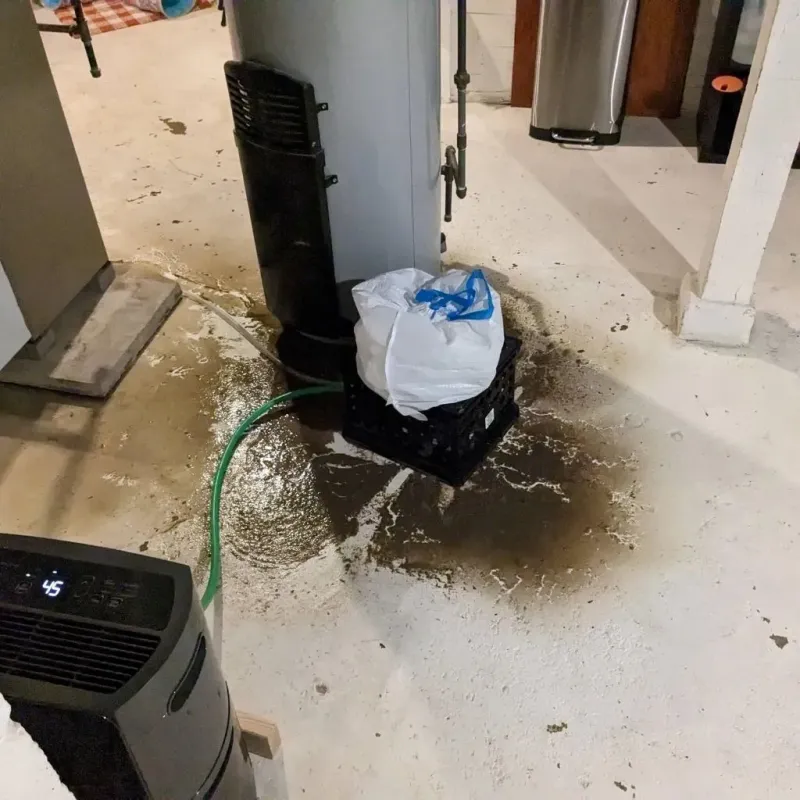 Sewage Backup Cleanup Service in Maryland Heights, MO